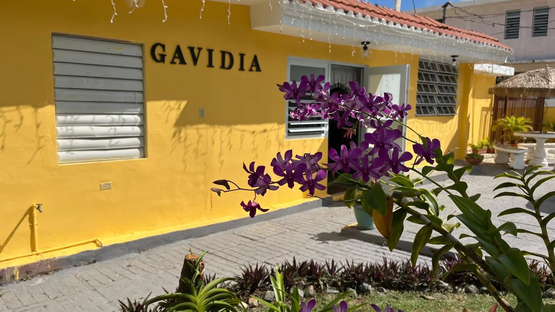 Gavidias Guest House San Lorenzo Porto Riko